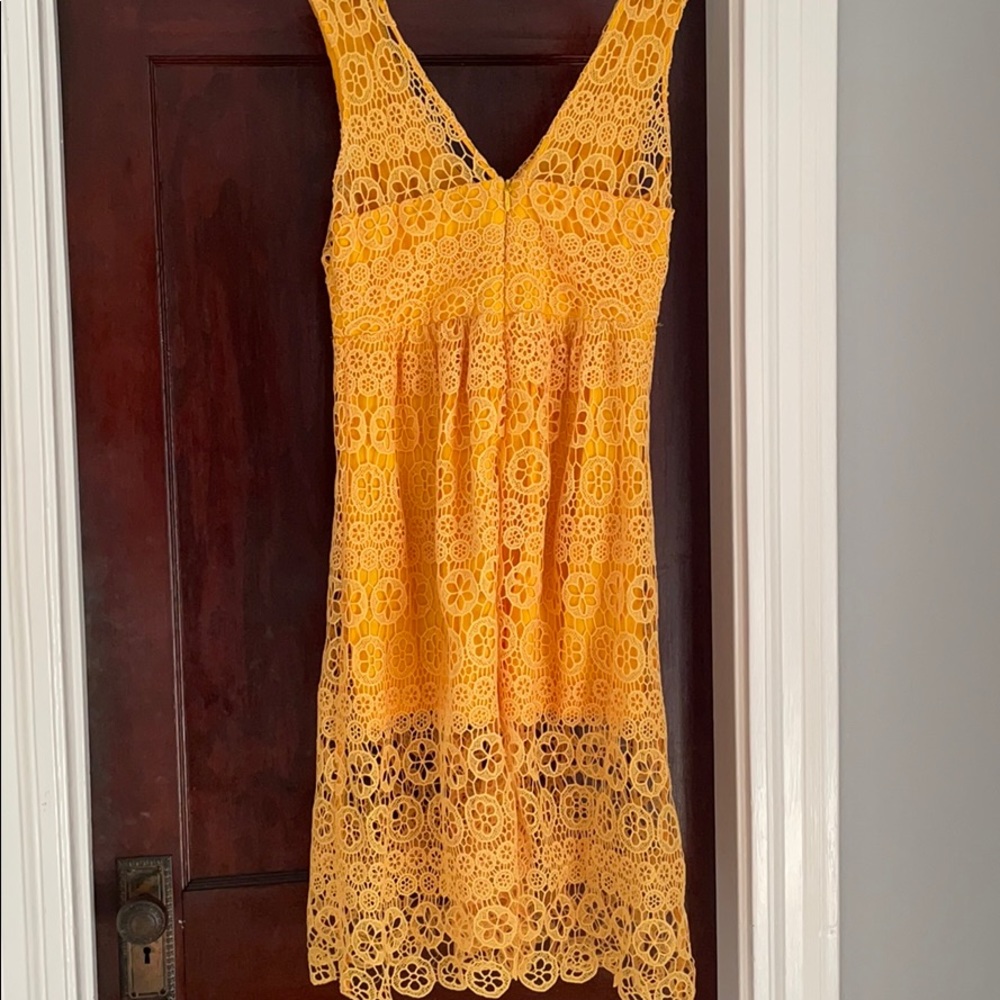 Lulu’s Dress - Picture 3 of 4